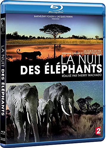 La Nuit Des Elephants