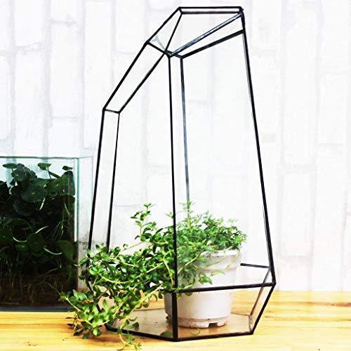 Vase hexagonal en verre pour micro paysage et terrarium de plantes