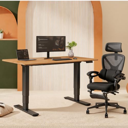 Image of FLEXISPOT E6 Solid Wood Dual Motor 3-Stage Electric Standing Desk, 55 x 28