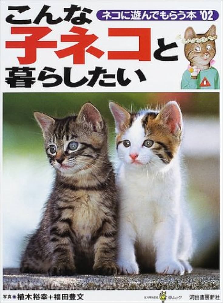 Amazon.co.jp: こんな子ネコと暮らしたい: ネコに遊んでもらう本
