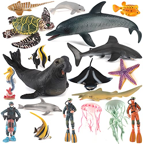 Sea Marine Animal Model Ocean Creatures