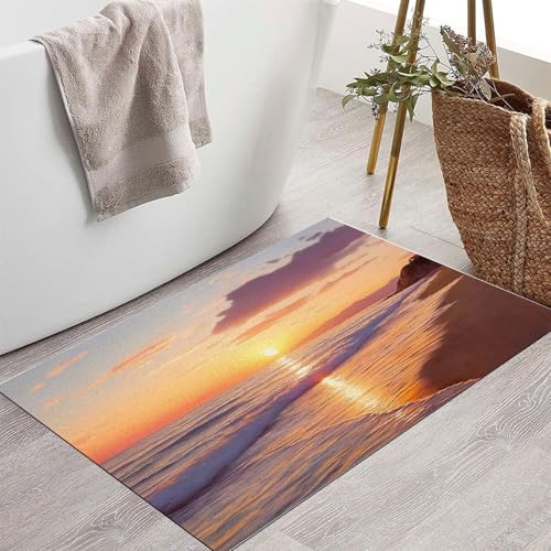 Tapis de porte extérieur imperméable 50x80 lavable tapis robuste