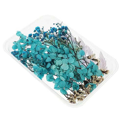 Set de flores secas naturales para manualidades y decoración