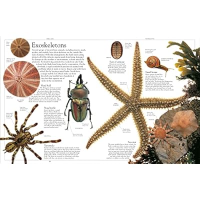 Encyclopedia of Animals Paperback August 21, 2006