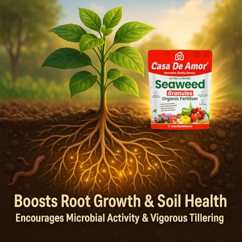 Image of Casa De Amor Seaweed Granules Organic Plant Food, Plant Growth Promoter, Suitable For All Types of Plants (900 gm)