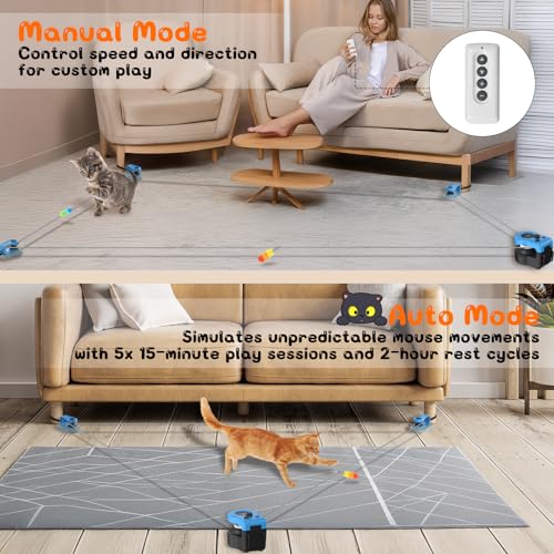 Jouet chat interactif contre l'ennui avec pistes durables