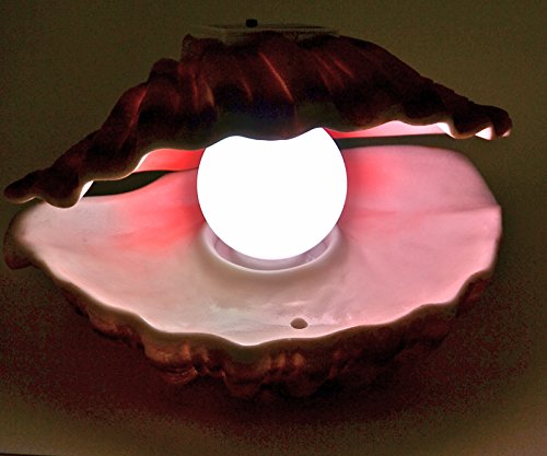 Homebrite 30869 Solar Pearl Mood Light #TOP7