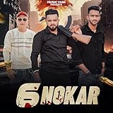  6 Nokar