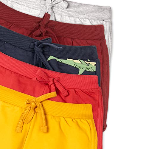 Image of Real Basics Premium Multicolour Cotton Shorts for Girls (Pack of 5)