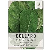 Seed Needs Collard Seeds for Planting Georgia Southern Collards - Non-GMO Heirloom & Untreated Veggie Seed to Plant an Outdoor Home Grown Garden (1 Pack)