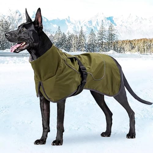 Vêtements pour chiens de taille moyenne veste imperméable thermique
