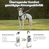 Huntboo Ausbruchsicheres Hundegeschirr, welpengeschirr, Vollständig Reflektierendes Geschirr mit Griff, Wasserdicht, Verstellbare Weste für Kleine Hunde, die Gehen, Trainieren(Schwarz, S)