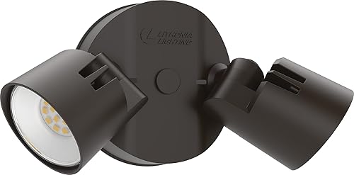 Lithonia Lighting HomeGuard Luces de Inundación LED de 2 Luces para Exteriores, Luces para Exteriores de Montaje en Pared o Techo, 4000K Blanco