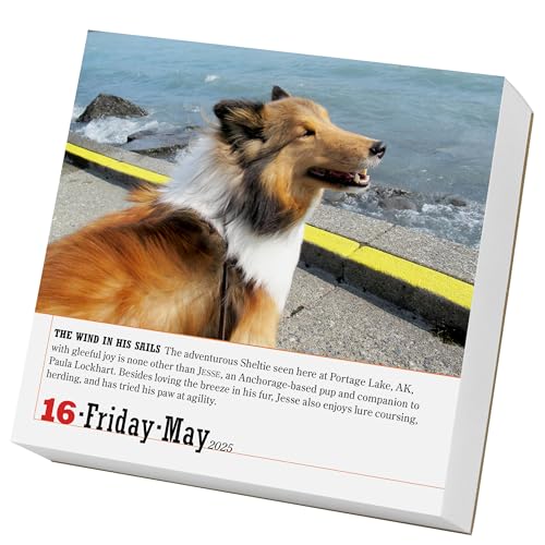 365 Dogs Page-A-Day® Calendar 2025: The World's Favorite Dog Calendar