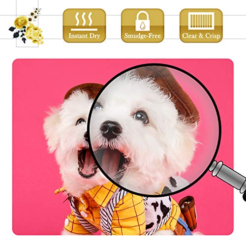 A-Sub Premium Photo Paper High Glossy 13X19 Inch 66Lb For Inkjet Printers 50 Sheets #TOP3