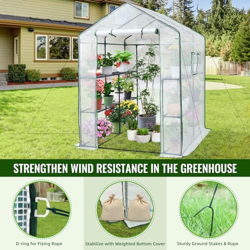 Greengro Greenhouse, 57 x 57 x 76'' Greenhouses for Outdoors, Portable Greenhouse Kit with Mesh Side Windows, PE Cover, 8 Shelves, Heavy Duty Walk in Green House for Backyard Garden Indoor Outside - Image 6
