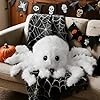 Lanpn Halloween Spider Throw P... #1