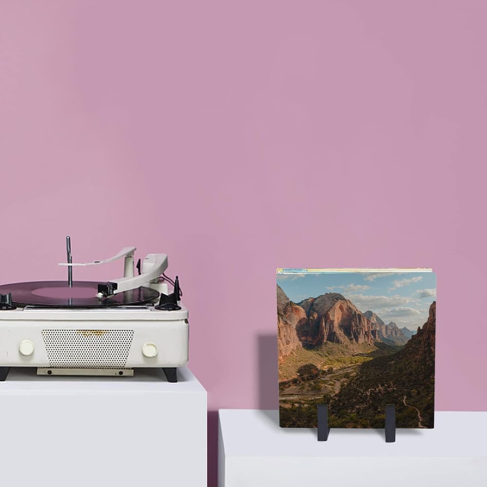 Bloepum Record Stand Vinyl Record Storage End Stand Vinyl Record Storage Album Storage Rack for CD/LP Vinyl Record Supplie