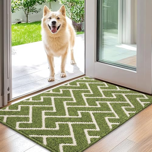 Biscpro Schmutzfangmatte 50x80 Fußmatte, Wasserdicht Schmutzabsorption Matte Fussmatte für Außen Innen Eingang, Garten, Teppich, küchenteppich