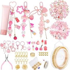 249 Pcs Keychain Making Kit
