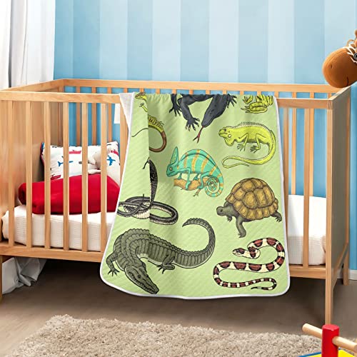 Image of Crocodile Snakes Lizard Baby Blankets Soft Warm Crib Stroller Blanket for Toddler Newborn Girls Boys, 30x40in