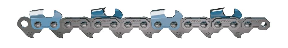 Amazon.com : OREGON 72LGX066G 66 Drive Link Super Guard