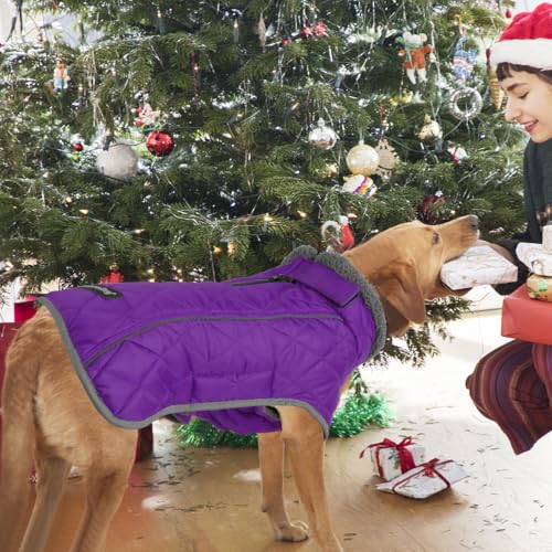 Image of Fragralley Dog Coat Large, Waterproof Dog Jacket with Warm Fleece Lining, Adjustable Reflective Dogs Winter Coat, Turtleneck Pet Coats for Cold Weather (Purple XL)