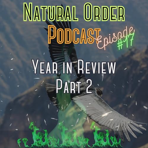 『Year in Review (2023) - Part 2 - July-December』のカバーアート