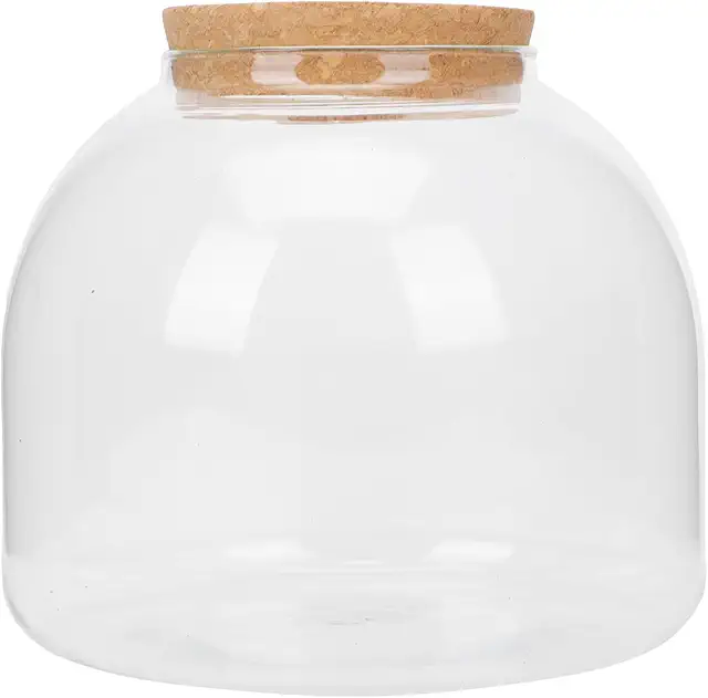 Set Bottiglie Terrario Piante con Coperchio - Decorazione Floreale Fai da Te