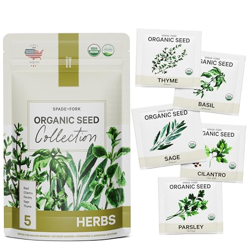 5 Certified Organic Herb Seeds Variety Pack (4X More) 2,800+ Non GMO Seeds for Planting Indoor Herb Garden or Outdoor Herb Garden Seeds for Planting | Including Basil, Cilantro & More