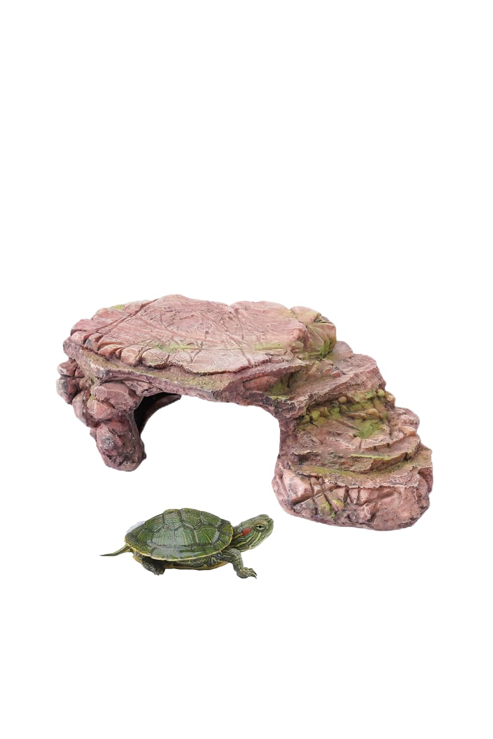 BIGWE Turtle Basking Platform for Aquarium Fish Tank Designed for Aquatic Pets Such as Turtles Reptiles and Tortoises