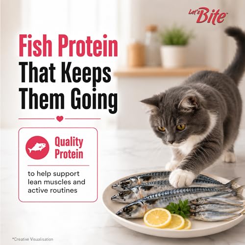 Image of Let's Bite Active Adult Dry Cat Food 1kg+ 1kg (Total 2kg)