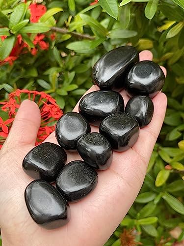 Image of GAF TREASURES 1 /2 LB Jet Tumbled Stones, Polished Jet Gemstone, Jet Healing Crystals (Jet)