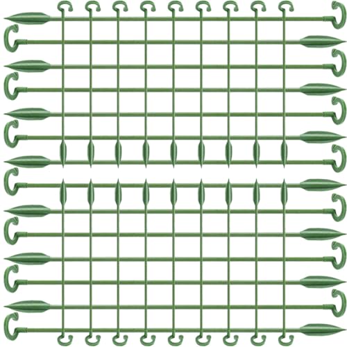 BESTonZON 40 ԉˎx ϗtApx yʑϋv ӒAx K[fAŒ胉bN