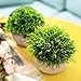 UltraOutlet 2 Pack Small Artificial Plants Centerpiece in Pot Fake Mini Decorative Potted Topiary Shrubs for Office, Home, Inddor, Room Decoration, Green