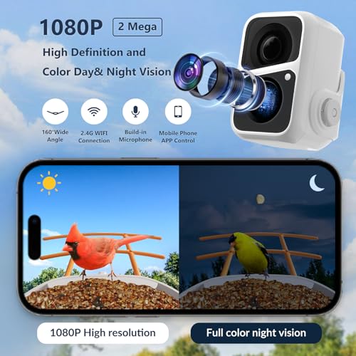 Smart-Bird-Feeder-with-Camera-Solar-Panel-Auto-Capture-Identify-10000-Bird-Species-Bird-Videos-for-Birdwatching-Ideal-Gift-for-Bird-Lover