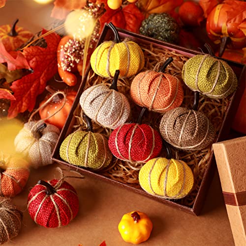 Fall-Pumpkin-Hanging-Ornament-Mini-Burlap-Fabric-Thanksgiving-Pumpkin-Hanging-Tree-Ornaments-for-Fall-Thanksgiving-Halloween-Christmas-Party-Tree-Mantel-Wall-Home-Decor-CraftsMixed-Color12-Pcs Fall Pumpkin Hanging Ornament Mini Burlap Fabric Thanksgiving Pumpkin Hanging Tree Ornaments for Fall Thanksgiving Halloween Christmas Party Tree Mantel Wall Home Decor CraftsMixed Color12 Pcs