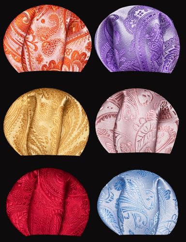 Image of Barry.Wang 6 PCS Men Ties Set Silk Business Fashion Woven Necktie Handkerchief Cufflinks Paisley Stripe Wedding Party