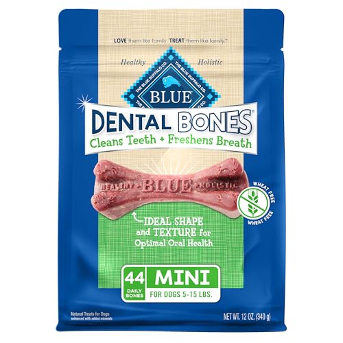 Blue Buffalo Mini Dental Bones, 12 oz, 44 Mini Bones - image 1