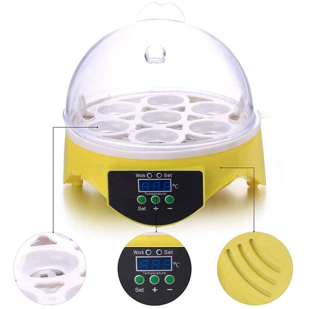 Incubadora digital de huevos totalmente automática, mini incubadora de huevos de pollo, codorniz, pavo, 10 incubadoras pequeñas semiautomáticas, talla única