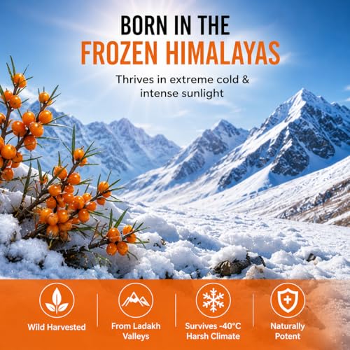 Image of Sea Buckthorn Pulp Concentrate | Cold Pressed Himalayan Superfruit | Rich in Omega 3,6,7,9 & Vitamin C | No Added Sugar | Antioxidant Rich Daily Wellness Drink | 300ml