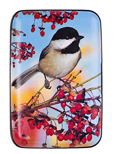 Bird Armored Credit Card and Cash Wallet