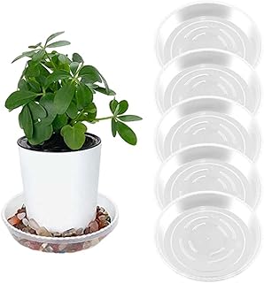 Plant Saucer, Heavy Duty Clear Plastic Plant Drip Trays, Plant Saucers Plant Tray for Plant Pot Drip Tray Flowerpot Saucer for Indoor Outdoor Plant 6PCS