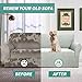 YEMYHOM Couch Cover Latest Jacquard Design High Stretch Sofa Covers for 3 Cushion Couch, Pet Dog Cat Proof Slipcover Non Slip Magic Elastic Furniture Protector (Large, Ivory)