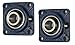 Jeremywell UCF201-8 Pillow Block Bearing (2 Pack), 1/2 inch Bore, 4-Bolt Flange Mounted, Solid Base, Self-Alignment, Square