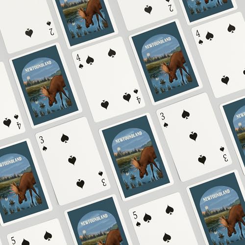 Naipes Poker Lantern Press Newfoundland 52 Cartas miniatura 4