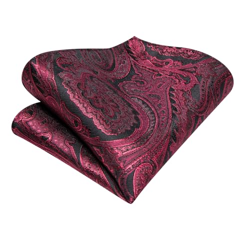 Image of Hi-Tie Silk Ascot for Men Self Tie Men's Cravat and Flower Lapel Pin Handkerchief Cufflinks Set for Wedding Party