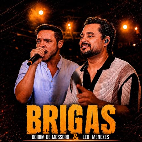  Brigas