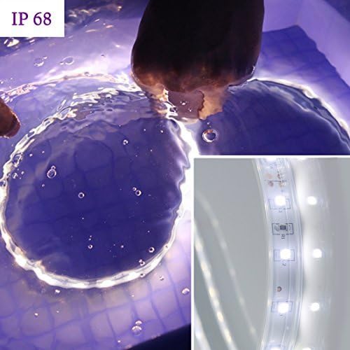 SUNNY SHOWER LED strip submerged in water, showing IP68 rating
