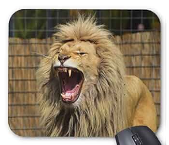 ジョンヒョン 写真集 写真、マウスパッド ジョンヒョン 写真集 写真、マウスパッド